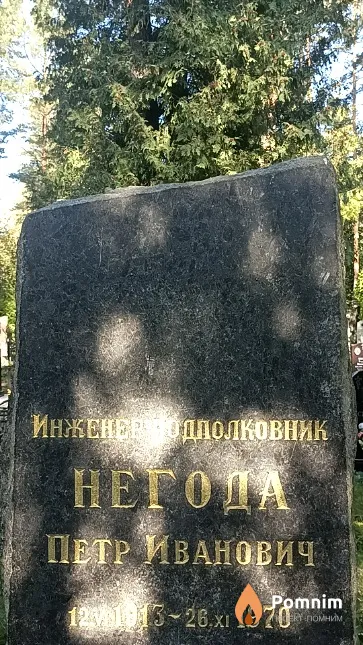 Негода Петр Иванович