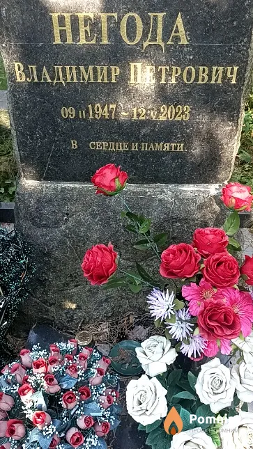 Негода Владимир Петрович