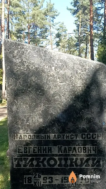 Тикоцкий Евгений Карлович
