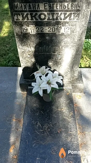 Тикоцкий Михаил Евгеньевич