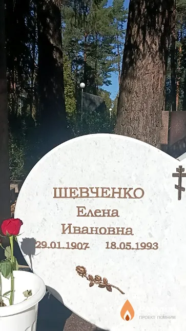 Шевченко Елена Ивановна