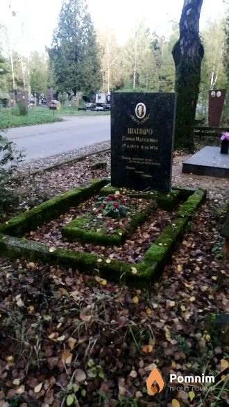 Шапиро Ефим Маркович