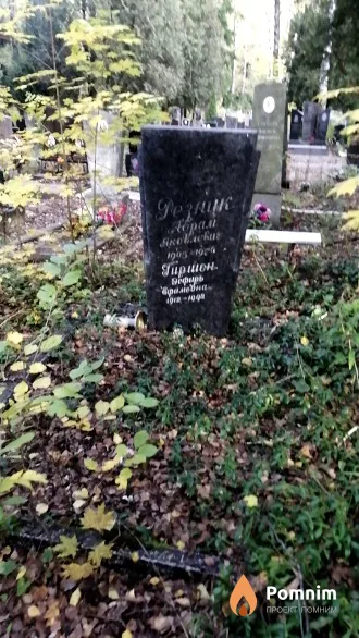 Резник Абрам Яковлевич