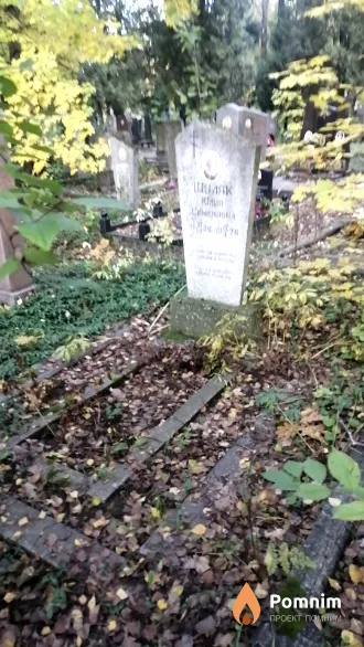 Шуляк Юлия Семеновна