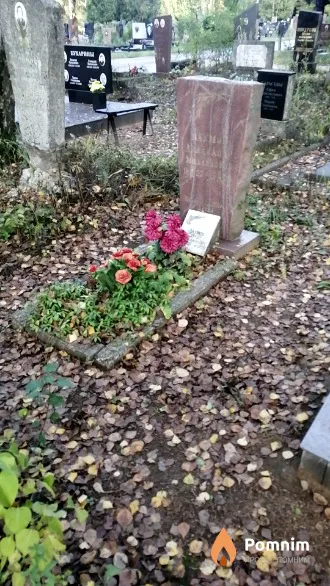Наумов Александр Михайлович