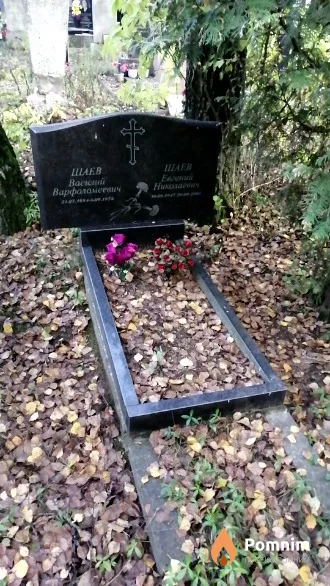 Шаев Василий Варфоломеевич