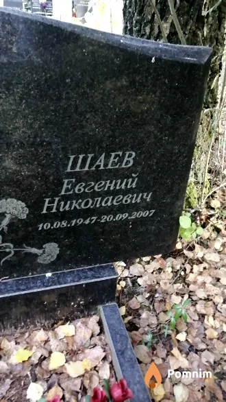 Шаев Евгений Николаевич