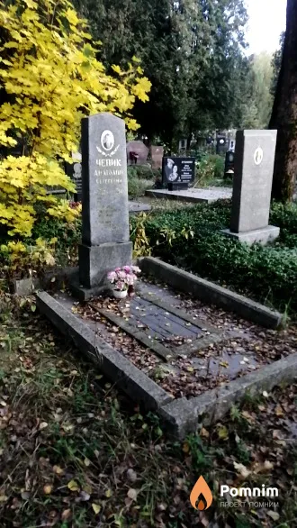 Чепик Анатолий Сергеевич