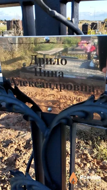 Дрило Нина Александровна