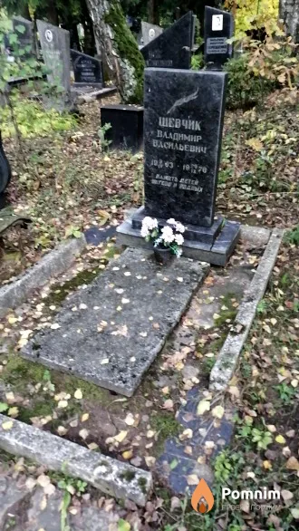 Шевчик Владимир Васильевич