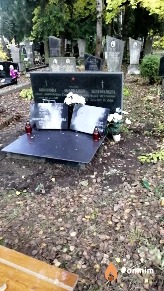 Андрианова Анатолий Георгиевич