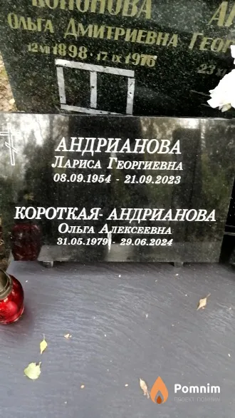 Андрианова Лариса Георгиевна