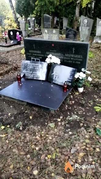 Короткая-Андрианова Ольга Алексеевна