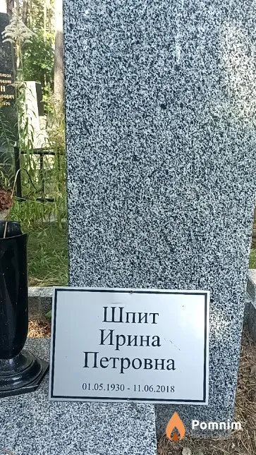 Шпит Ирина Петровна