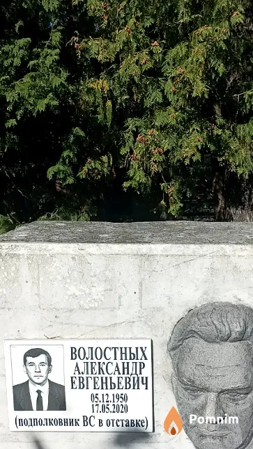 Волостных Александр Евгеньевич