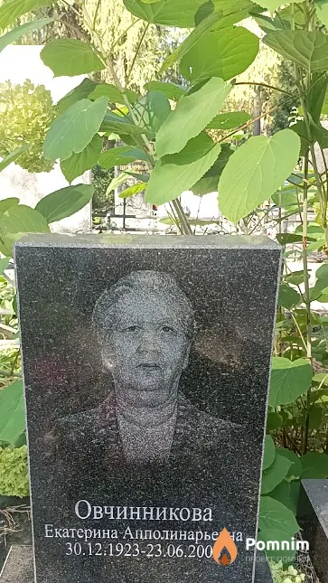 Овчинникова Екатерина Апполинарьевна