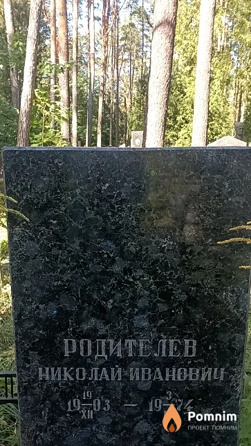 Родителев Николай Иванович