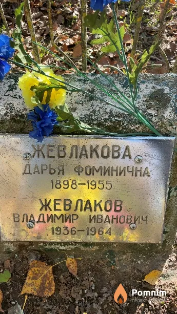 Жевлакова Дарья Фоминична