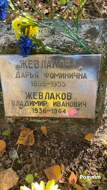 Жевлаков Владимир Иванович