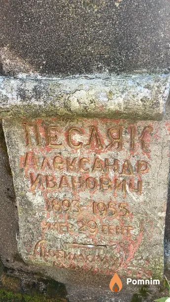 Песляк Александр Иванович