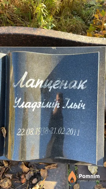 Лаптёнок Владимир Ильич