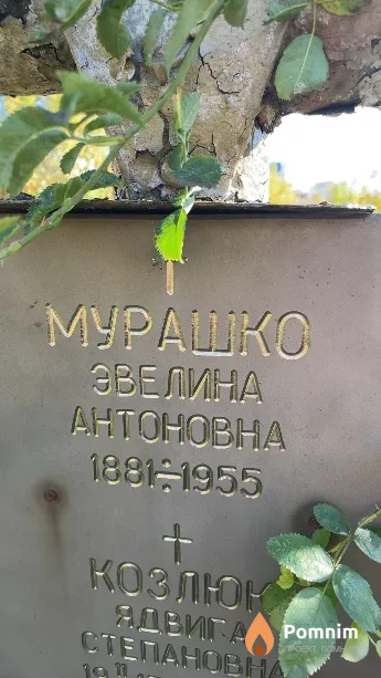 Мурашко Эвелина Антоновна