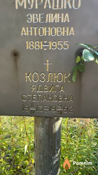 Козлюк Ядвига Степановна