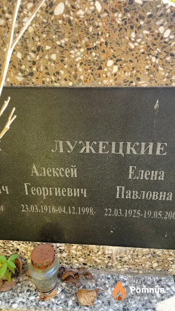 Лужецкий Алексей Георгиевич