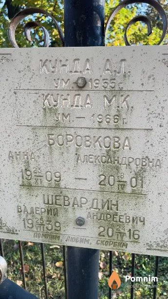 Боровкова Анна Александровна