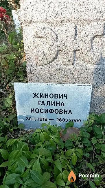 Жинович Галина Иосифовна