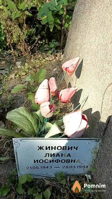 Жинович Лиана Иосифовна
