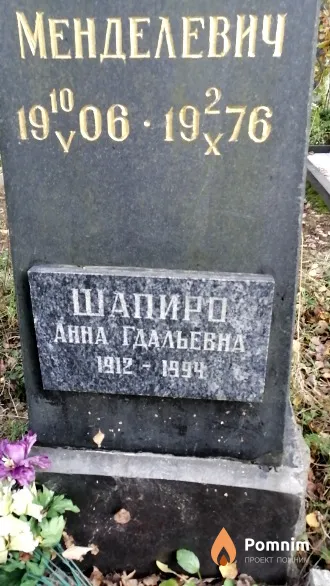 Шапиро Анна Гдальевна