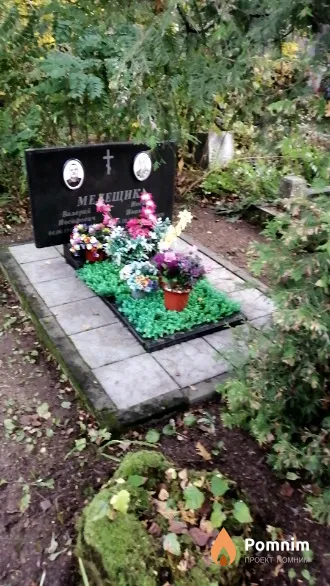 Мелещик Валерий Иосифович