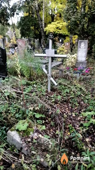 Дайнеко Елена Самуиловна