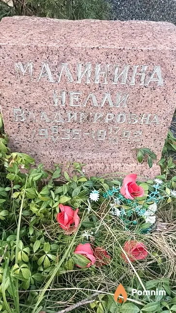 Малинина Нелли Владимировна