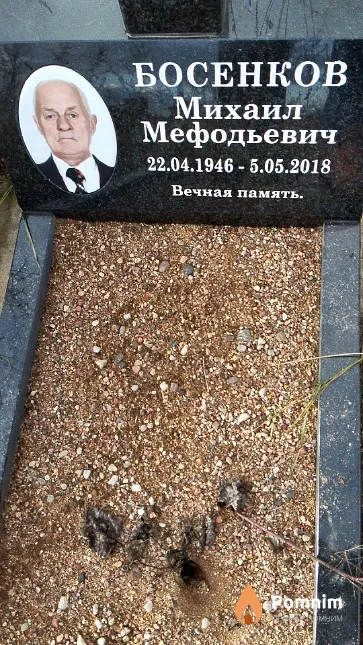 Босенков Михаил Мефодьевич