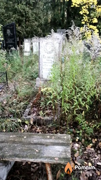 Кулинич Анна Николаевна
