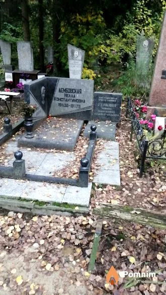 Дембовская Нелла Константиновна