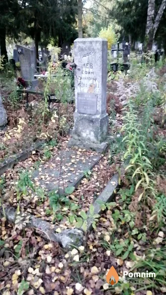 Лев Ефим Данилович