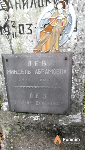 Лев Миндель Абрамовна