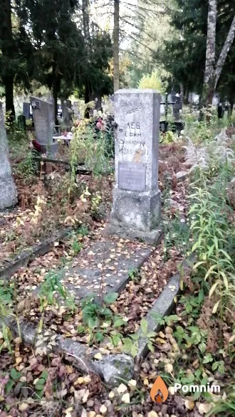 Лев Виктор Ефимович