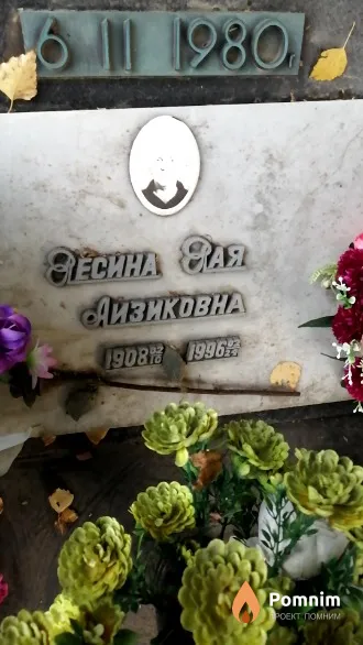 Ресина Рая Айзиковна