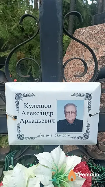 Кулешов Александр Аркадьевич