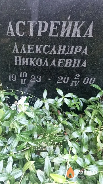 Астрейка Александра Николаевна