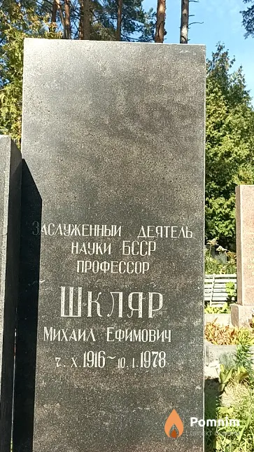 Шкляр Михаил Ефимович