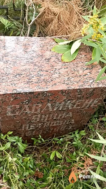 Саваикене Янина Петровна