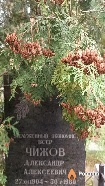 Чижов Александр Алексеевич