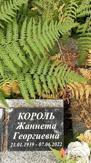 Король Жаннета Георгиевна