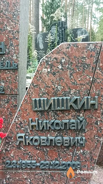 Шишкин Николай Яковлевич