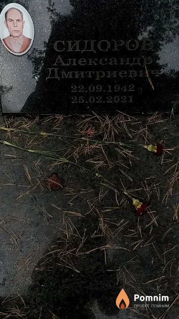 Сидорова Александр Дмитриевича